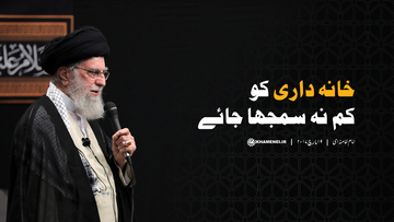 خانہ داری کو کم نہ سمجھا جائے